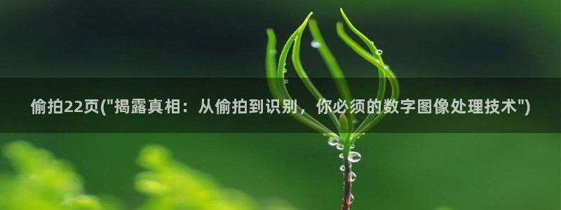 中文字暮国内自拍