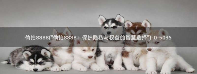 小说区图片区偷拍区