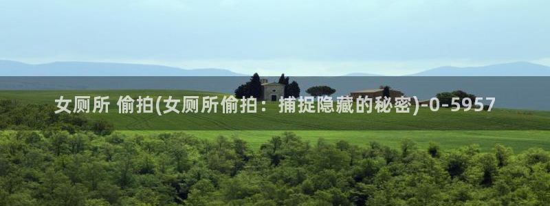 视频偷拍一区：女厕所 偷拍(女厕所偷拍：捕捉隐藏的秘密)