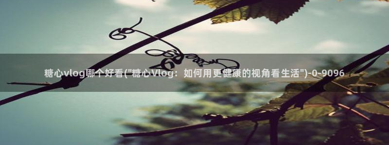 糖心vlog网页