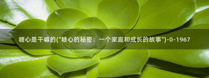 捅主任糖心vlog