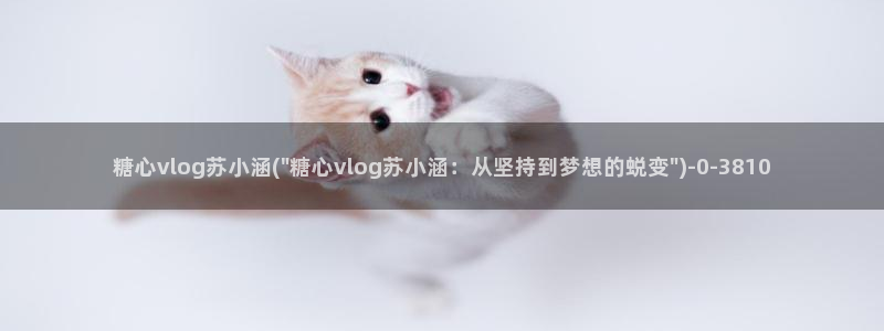 糖心vlog桥本香菜