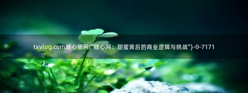 糖心vlog精品