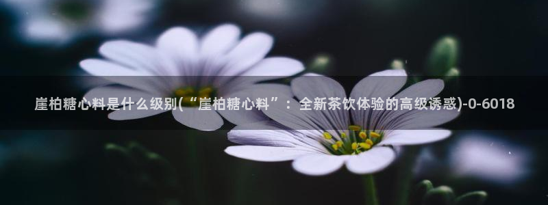 糖心vlog地址
