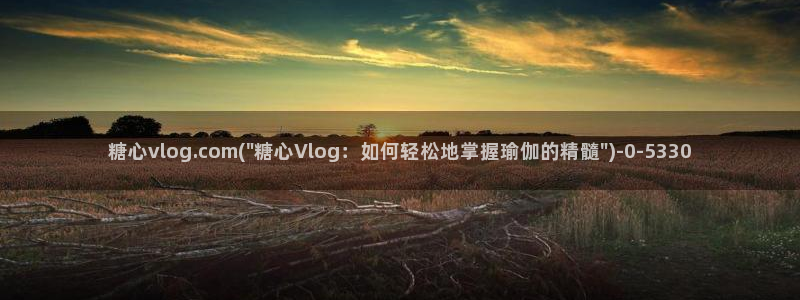 糖心vlog最新破解版