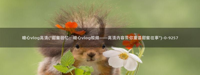 糖心vlog艺人