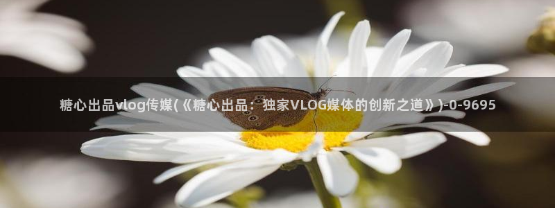 糖心vlog在线观看下载