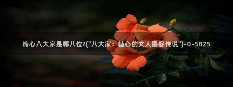 糖果心vlog怎么下载