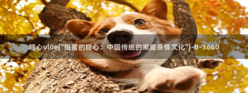 糖心vlog怎么免费看